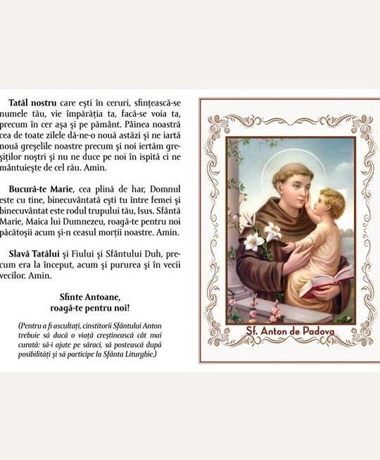 Rugăciune pentru reușita la examen cu Sfântul Anton: Îndrumare și Speranță - Alte Nevoi